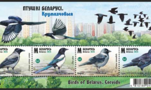 НОВОСТИ ФИЛАТЕЛИИ. "Птицы Беларуси. Врановые"