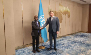 Состоялась встреча Министра  с Директором Бюро развития электросвязи МСЭ 