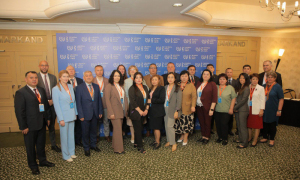 Международное сотрудничество