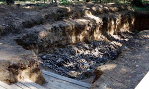 Представители отрасли связи почтили память жертв геноцида в урочище Уручье