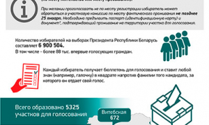 Голосование на выборах Президента Беларуси